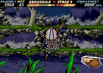 image de The First Funky Fighter